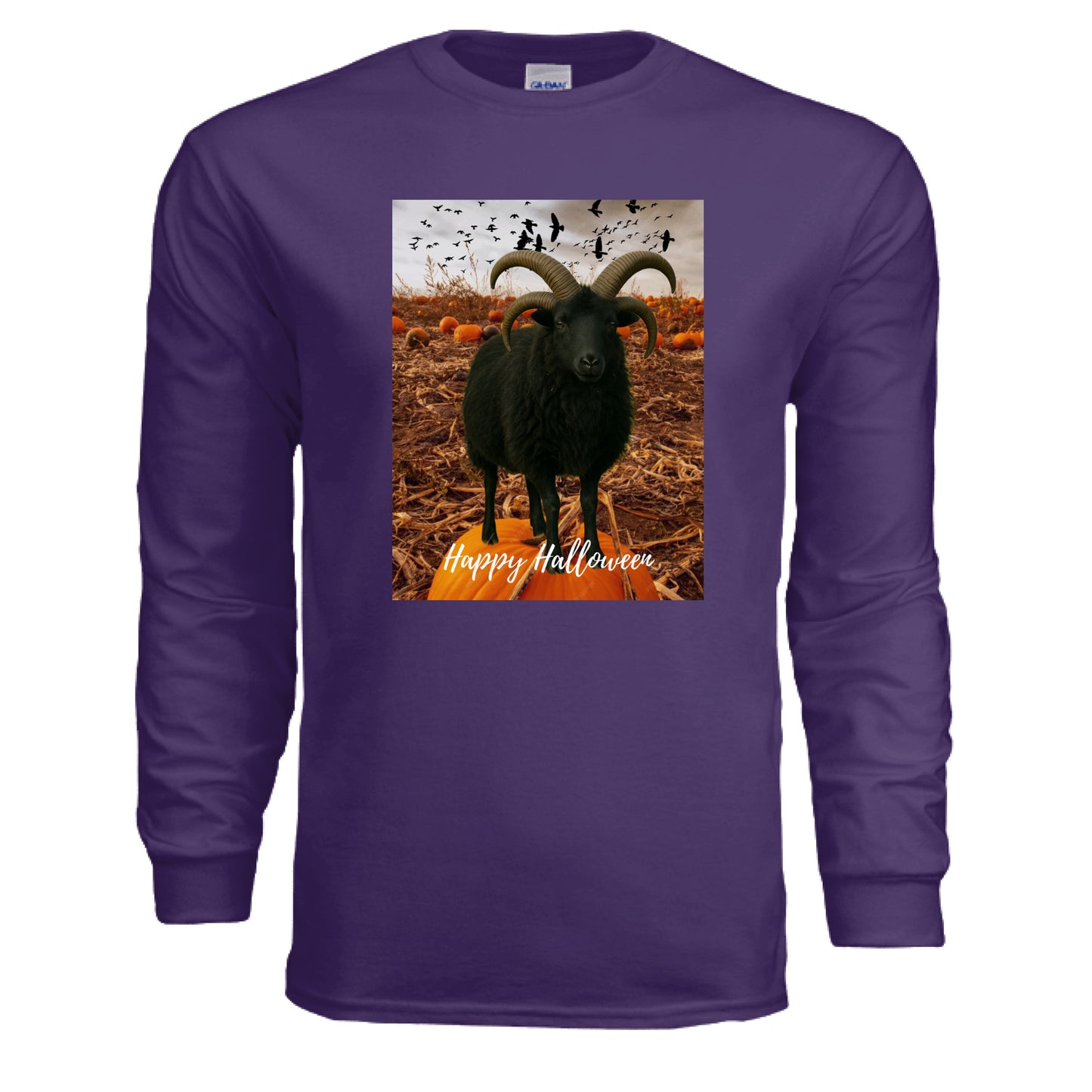 PURPLE - FRONT
