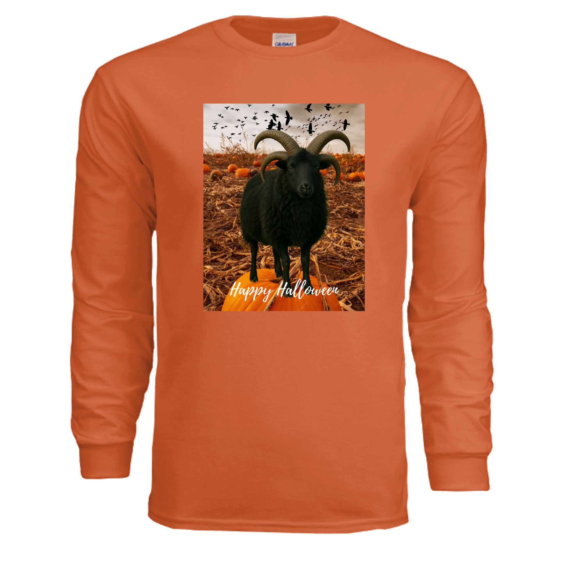 ORANGE - FRONT