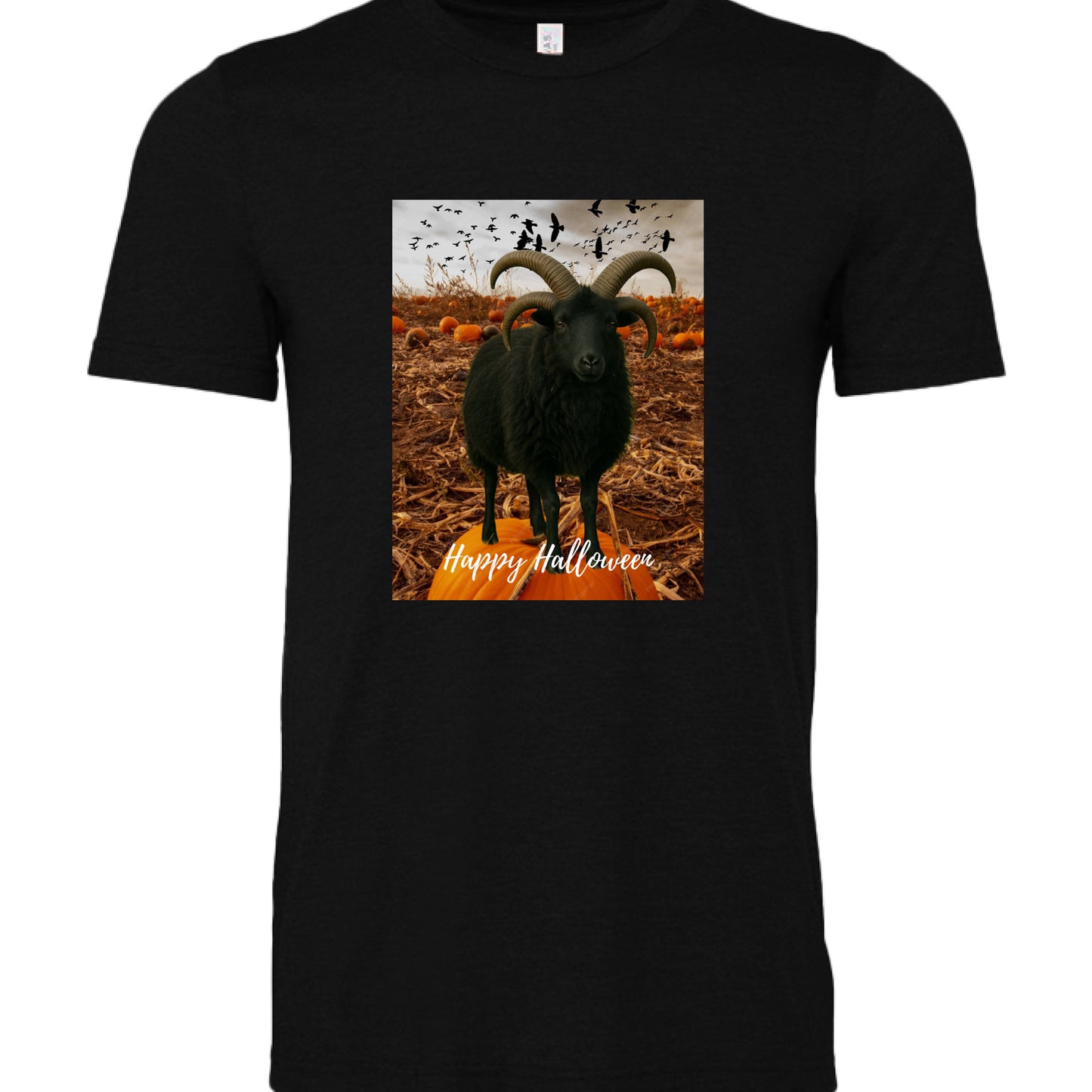 BLACK HEATHER - FRONT