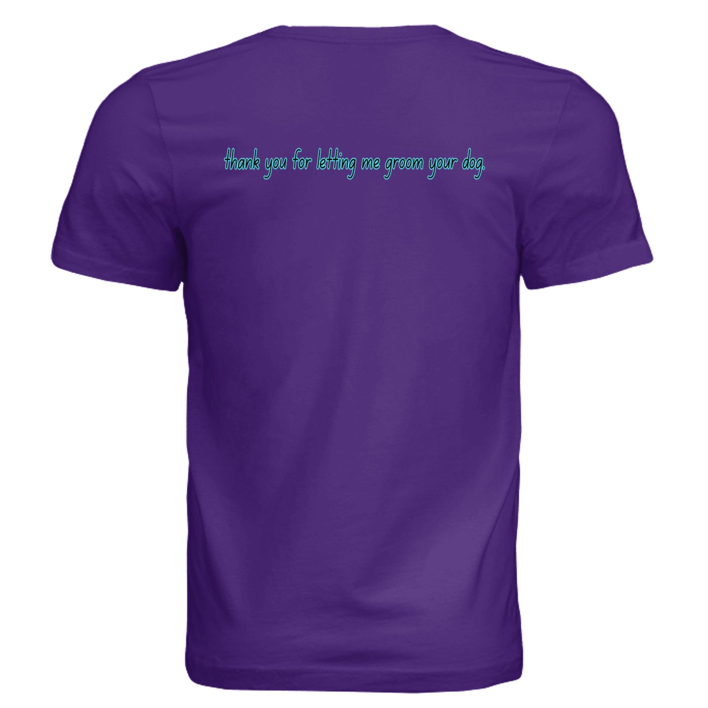 Solid Team Purple Triblend - 3413C - BACK