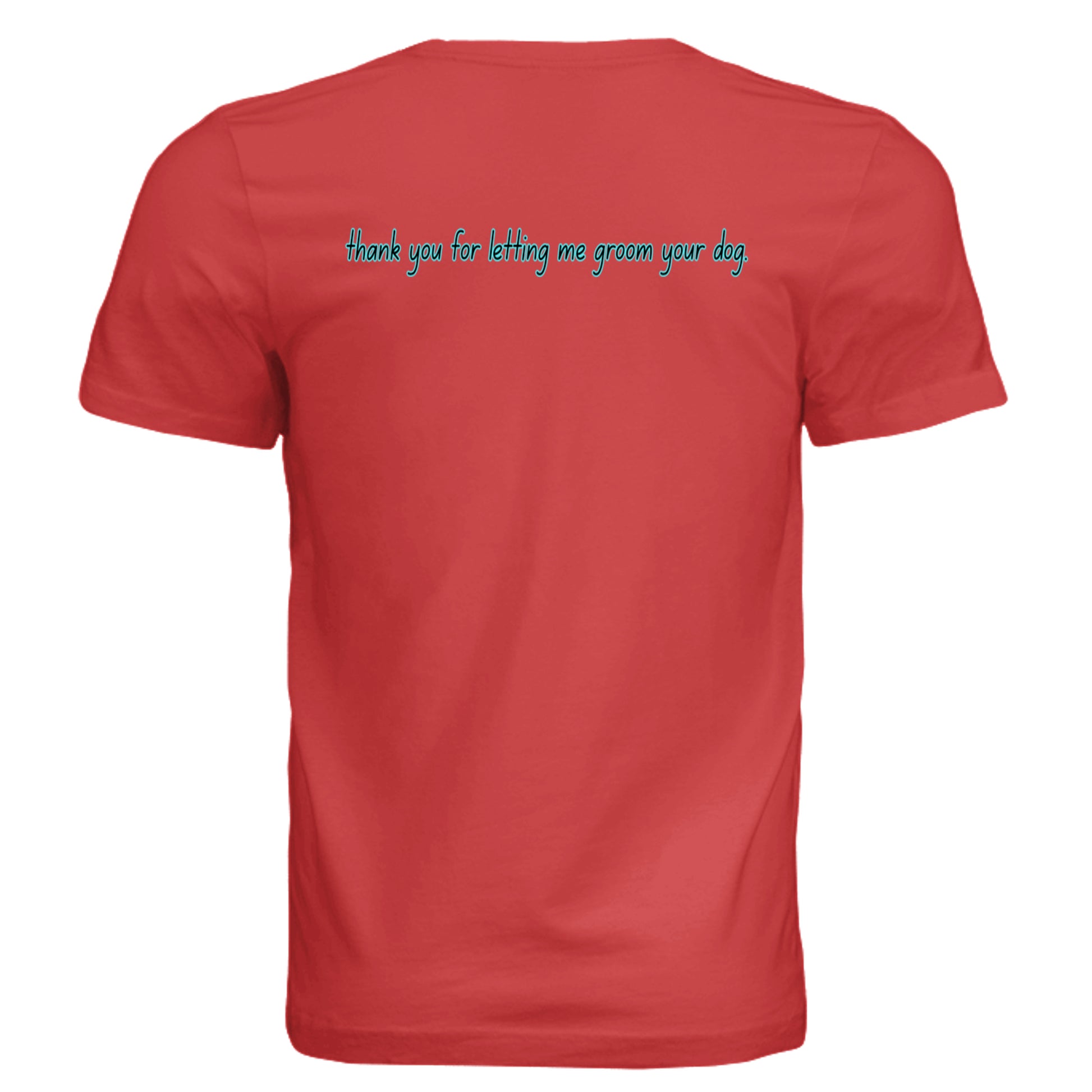 Solid Red Triblend - 3413C - BACK
